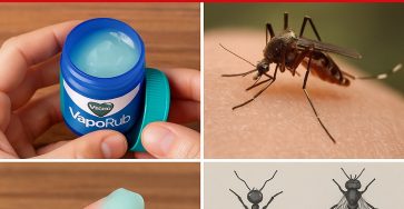 WhatsApp Image 2025 10 06 at 11.45.23 f7f46669